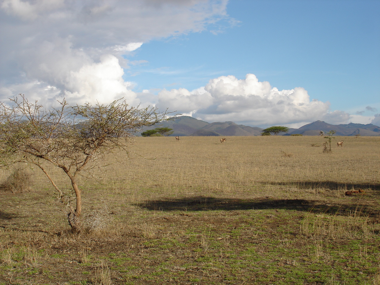 Kenya2 015